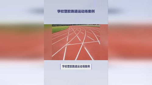 學(xué)校塑膠跑道運(yùn)動(dòng)場案例